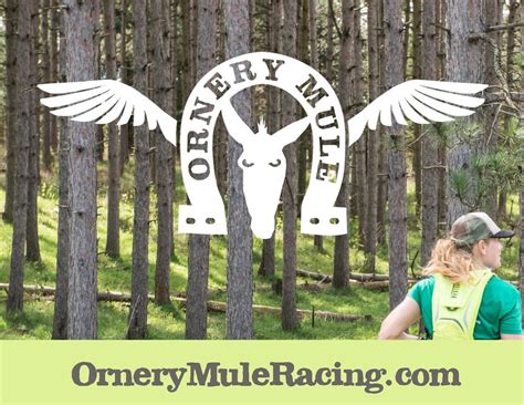 ornery mule racing